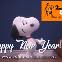 Happy New Year!! 2019 Happy New Year!! 2019