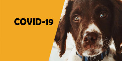 Center Operations Update – COVID-19