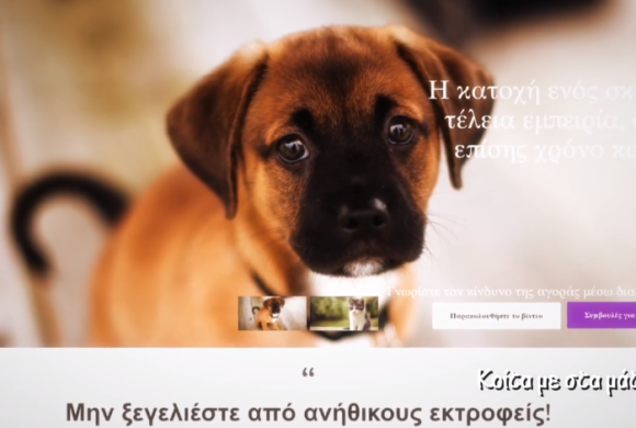 CYPAAG (Cyprus Pet Advertising Advisory Group) - Κοίτα με στα μάτια