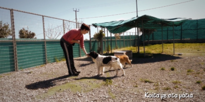 2nd Chance Dogs Κέντρο / εκπαίδευση και κοινωνικοποίηση Επεισόδιο 3