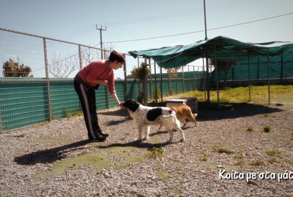 2nd Chance Dogs Center/ training and socialization - Κοίτα με στα μάτια