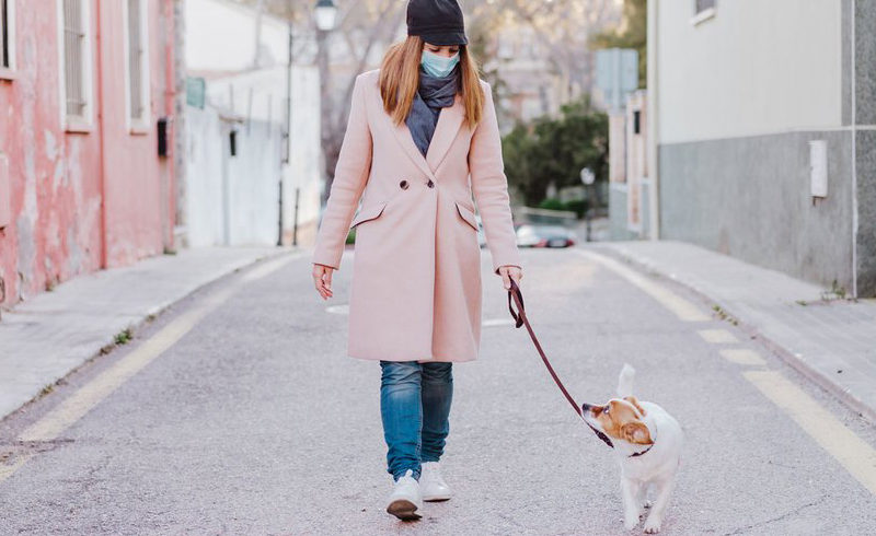 Covid-19 and DOGS – Ερωτήσεις σχετικά με τη βόλτα του σκύλου σας